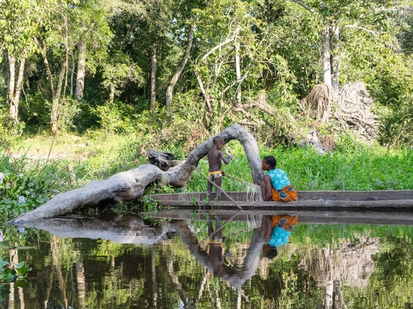 Dzanga Sangha Regenwaldschutzgebiet - Paddeln im Kongo