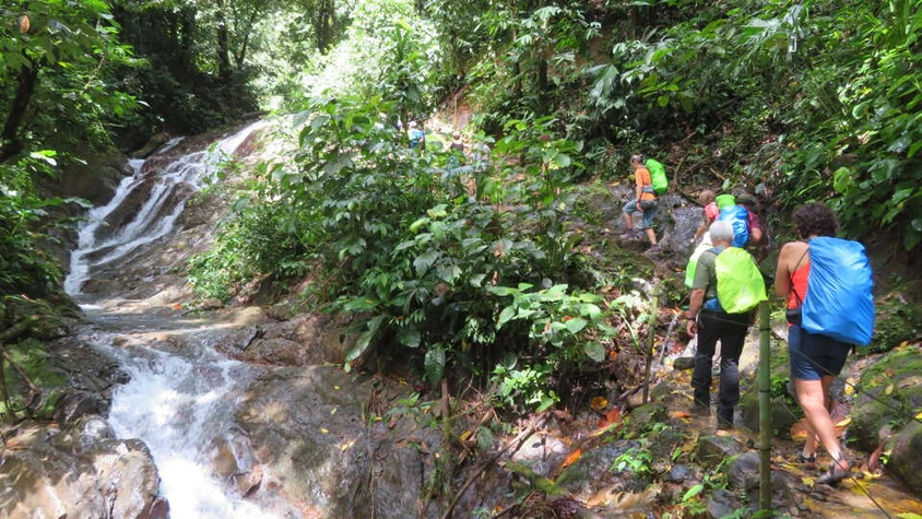 Wanderung im Regenwald