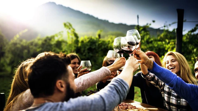 Weinprobe in den Weinbergen