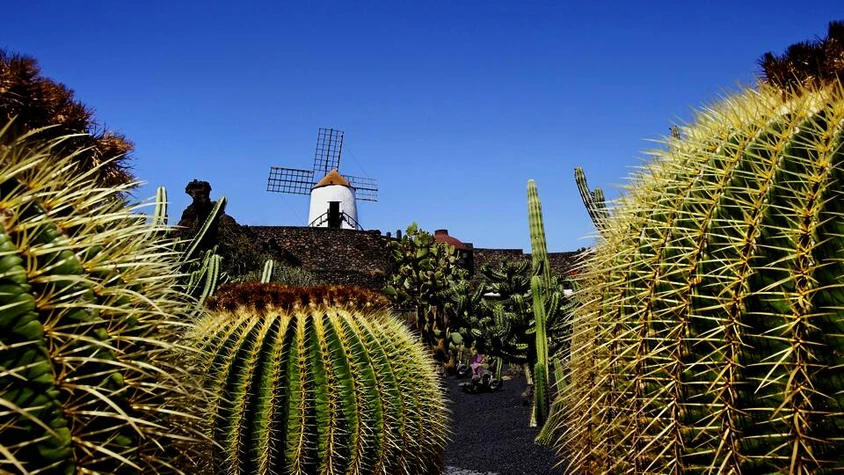 Im Jardín de Cactus auf Lanzarote