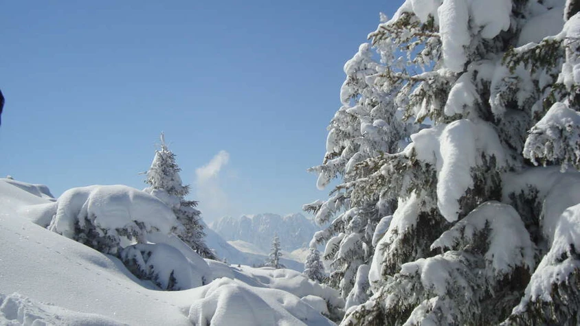 Winterliche Berglandschaft