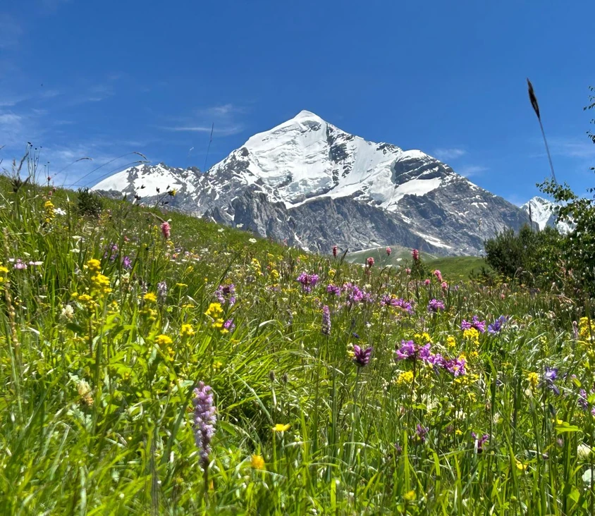 Tetnuldi-Blick mit Blumenwiese 
