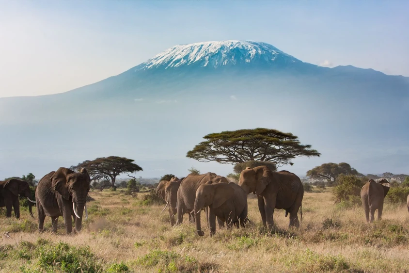 Afrika Reise Safari