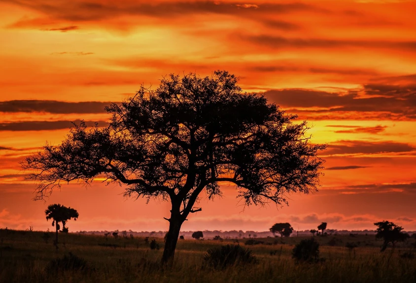 Uganda Reise Sonnenuntergang