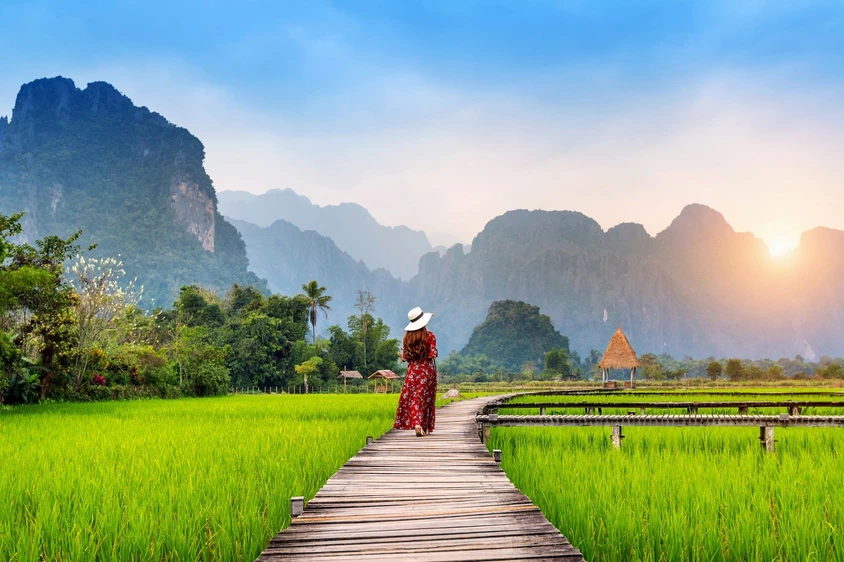 Reise Laos: Reisfelder