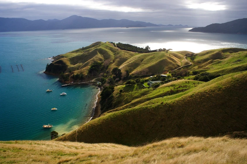 Neuseeland Reise - Marlborough Sound