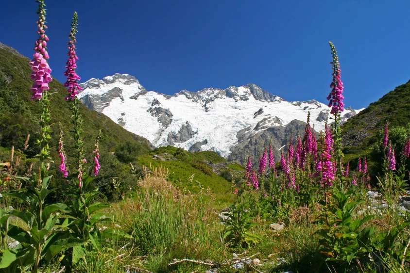 Neuseeland Reise - Mount Cook