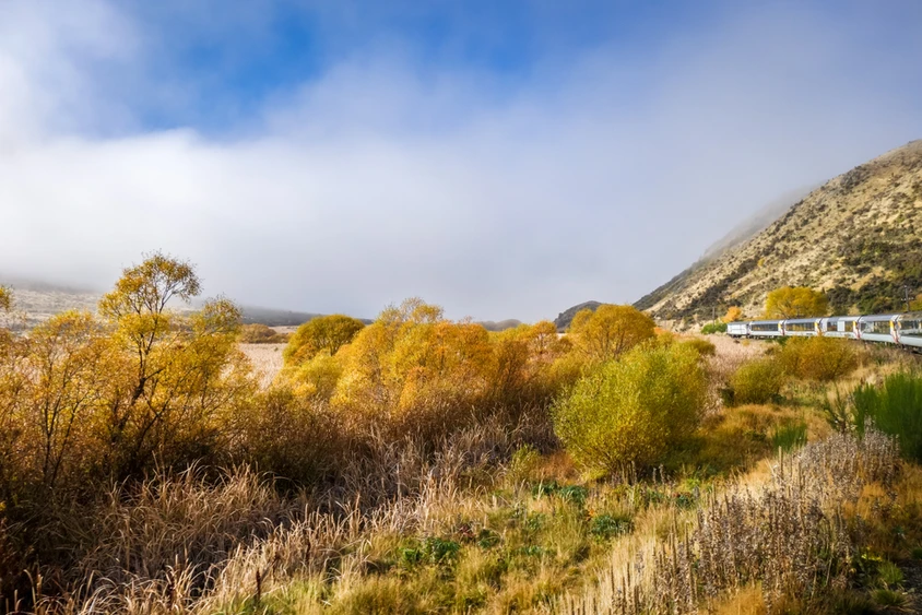 Neuseeland Reise - Tranzalpine