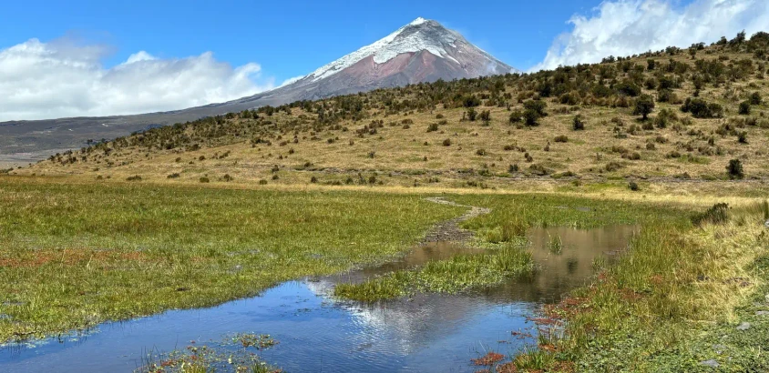 An der Limpiopungo-Lagune - Soldo76 - © Soldo76 / Adobe.com