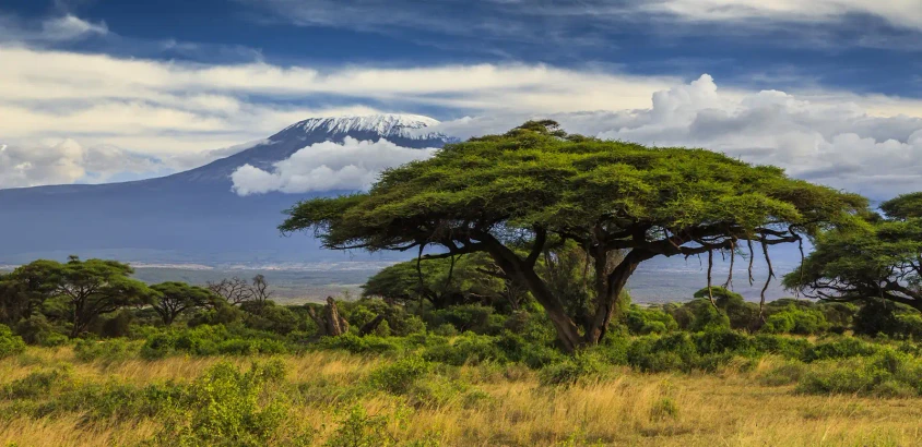 Kilimanjaro - Anton Petrus - © Anton Petrus /Adobe.com